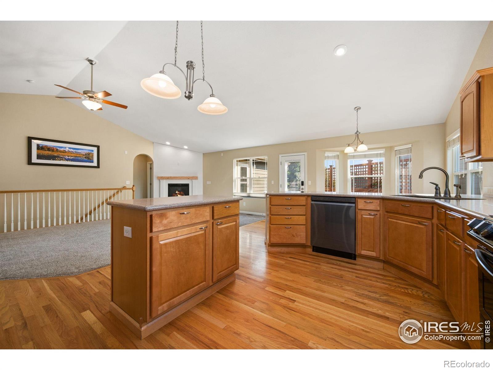 1741 Platte River Court Windsor CO 80550
