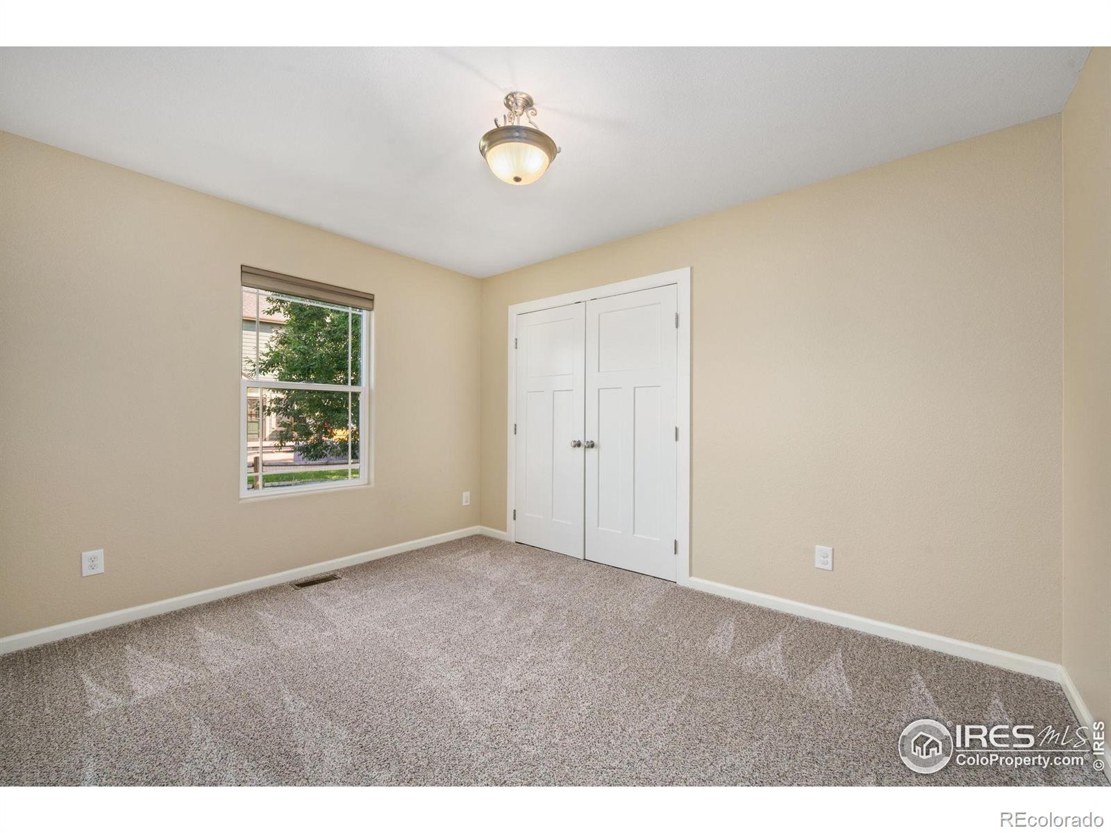 1741 Platte River Court Windsor CO 80550