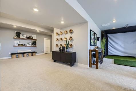 13786 Daffodil Point Parker CO 80134