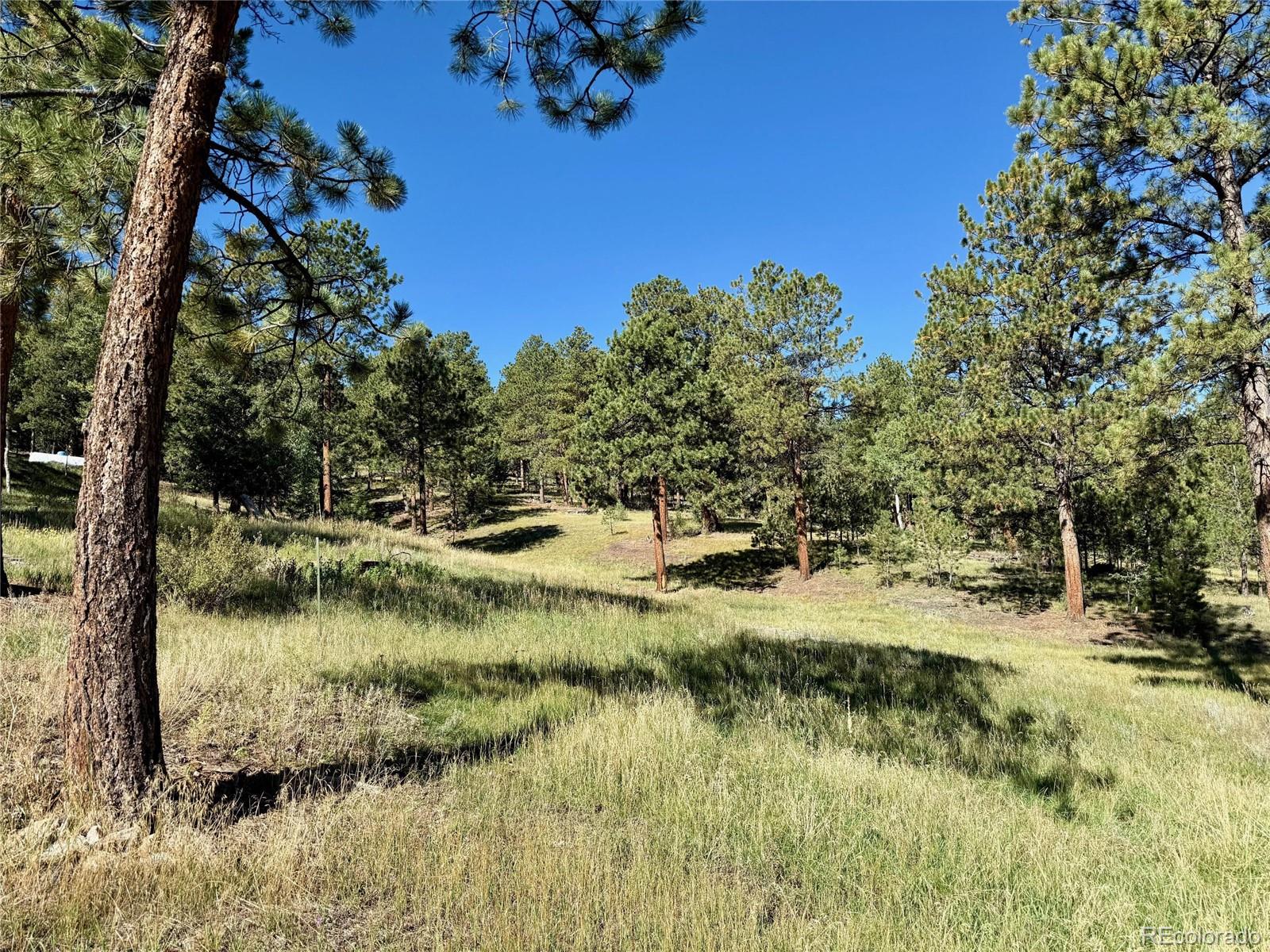 14271 Jubilee Trail Pine CO 80470