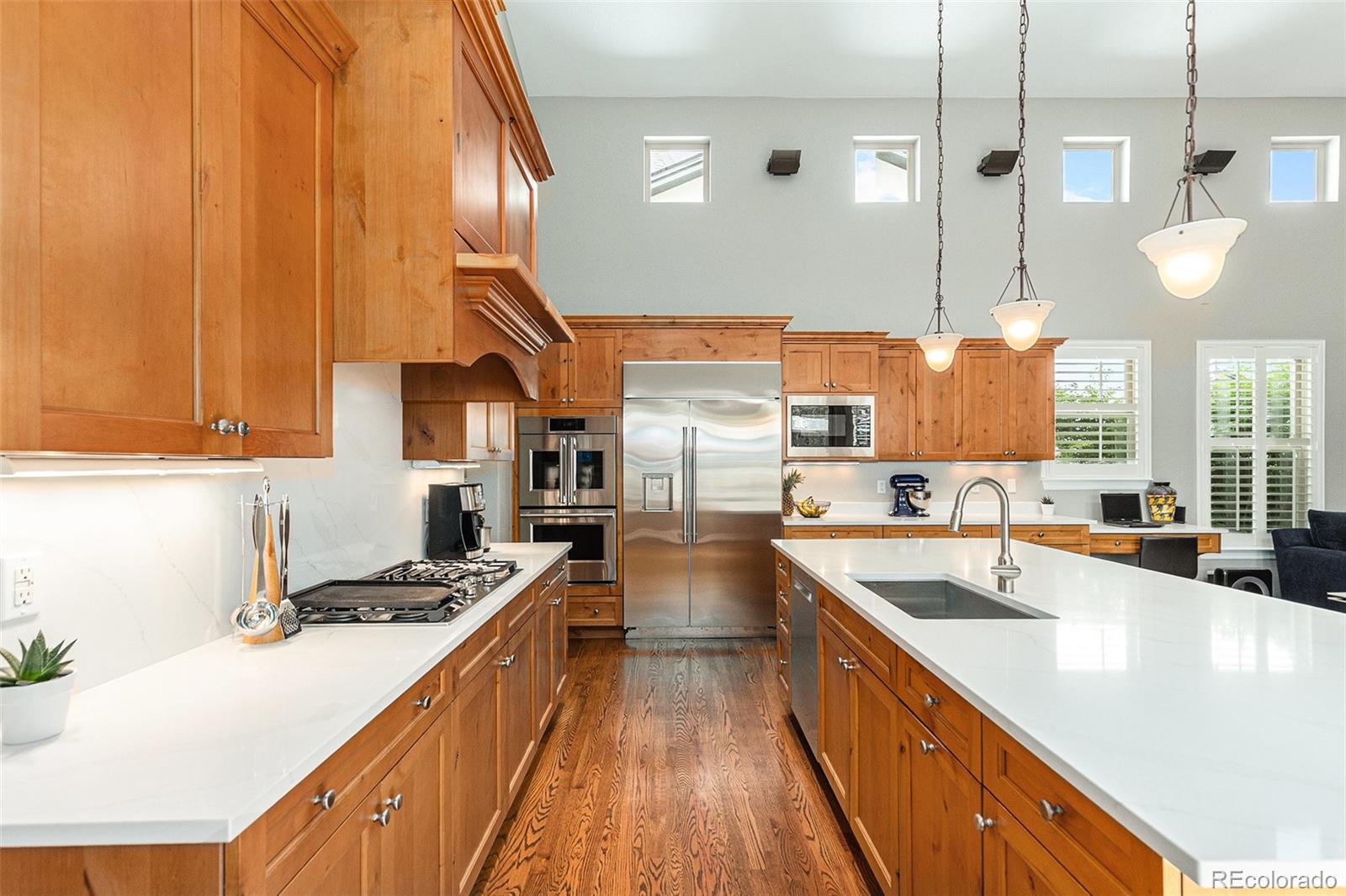 3162 Emporia Court Denver CO 80238