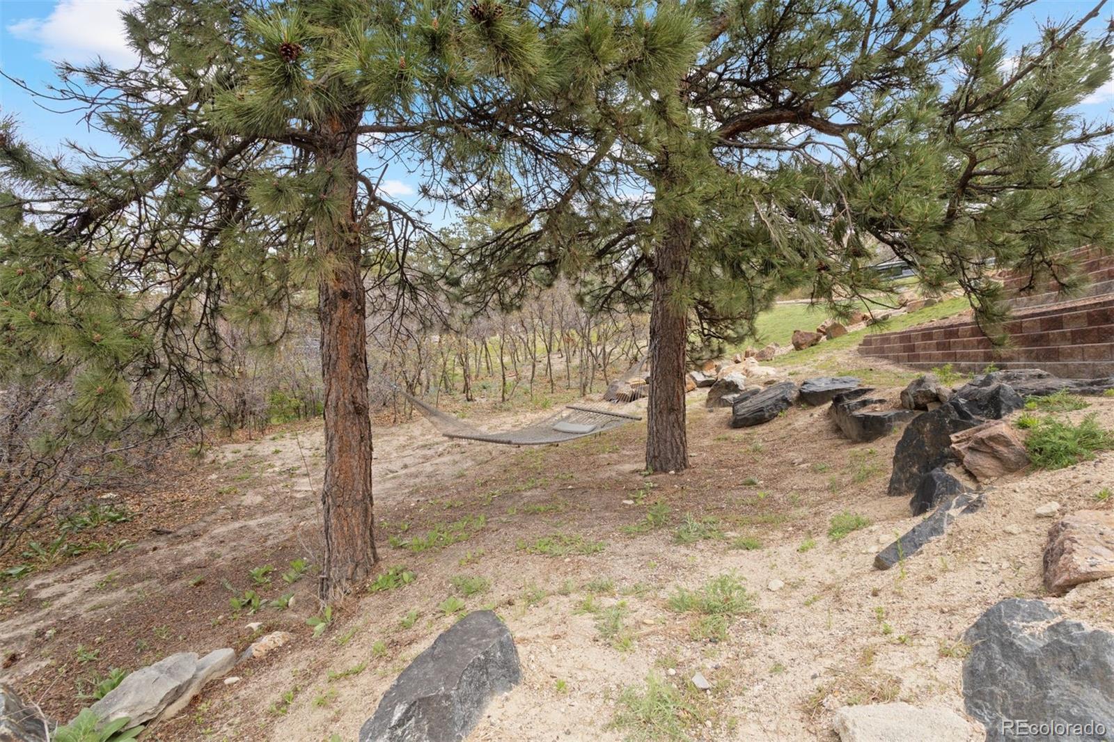 4605 Tierra Alta Drive Castle Rock CO 80104