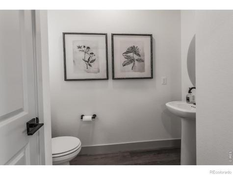 744 Trumpet Court Windsor CO 80550