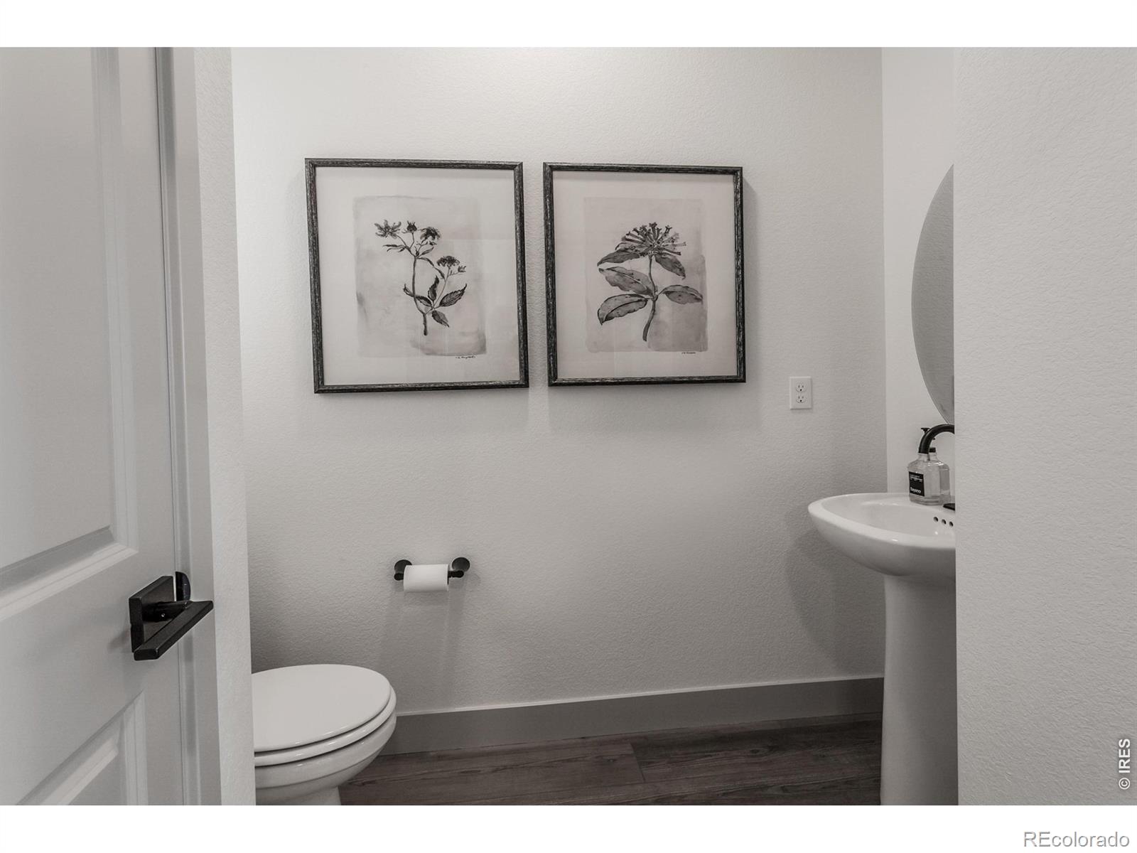 744 Trumpet Court Windsor CO 80550