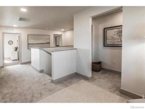 744 Trumpet Court Windsor CO 80550