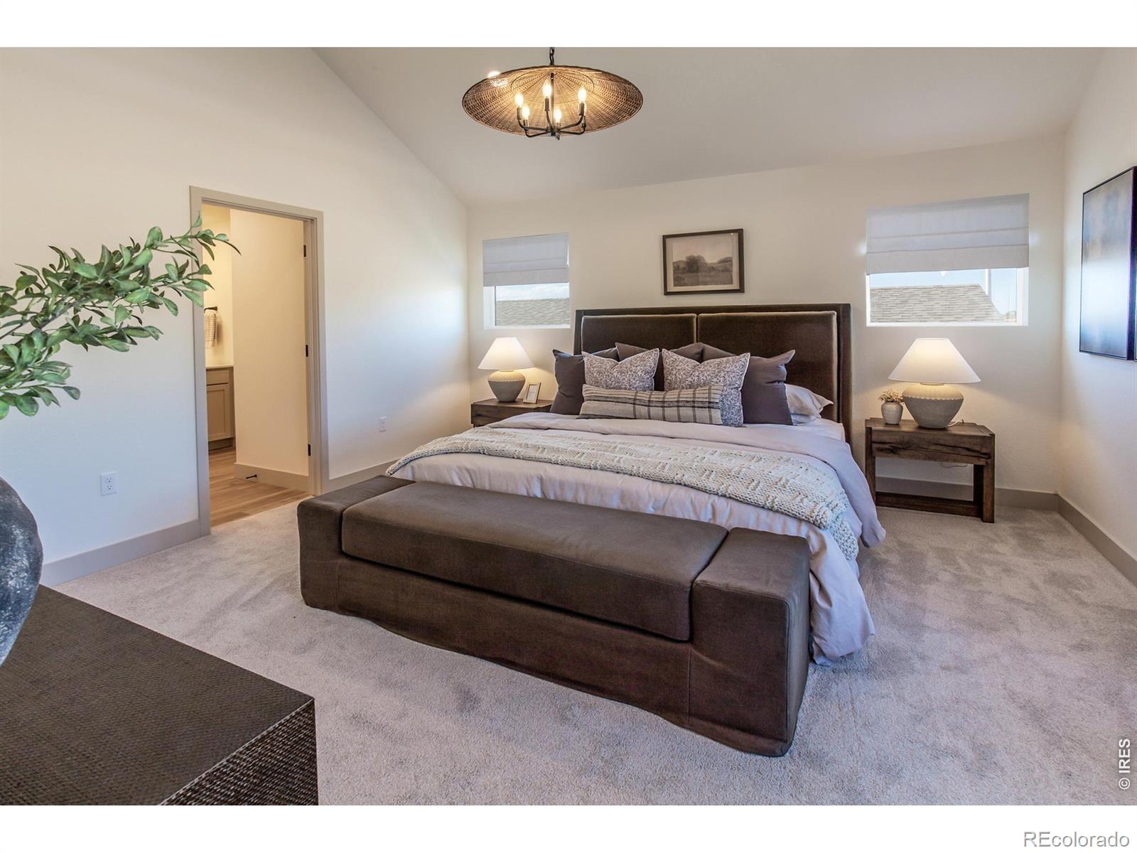 744 Trumpet Court Windsor CO 80550