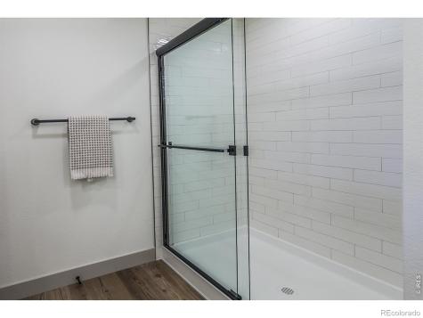 744 Trumpet Court Windsor CO 80550