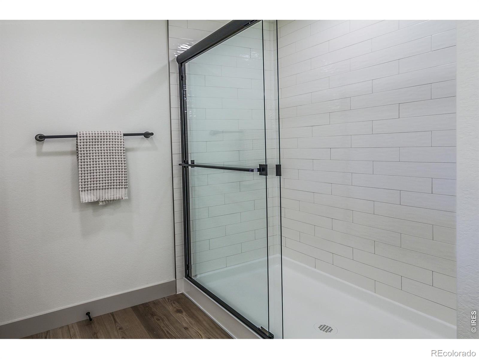 744 Trumpet Court Windsor CO 80550