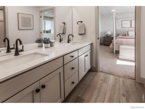 744 Trumpet Court Windsor CO 80550