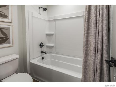744 Trumpet Court Windsor CO 80550