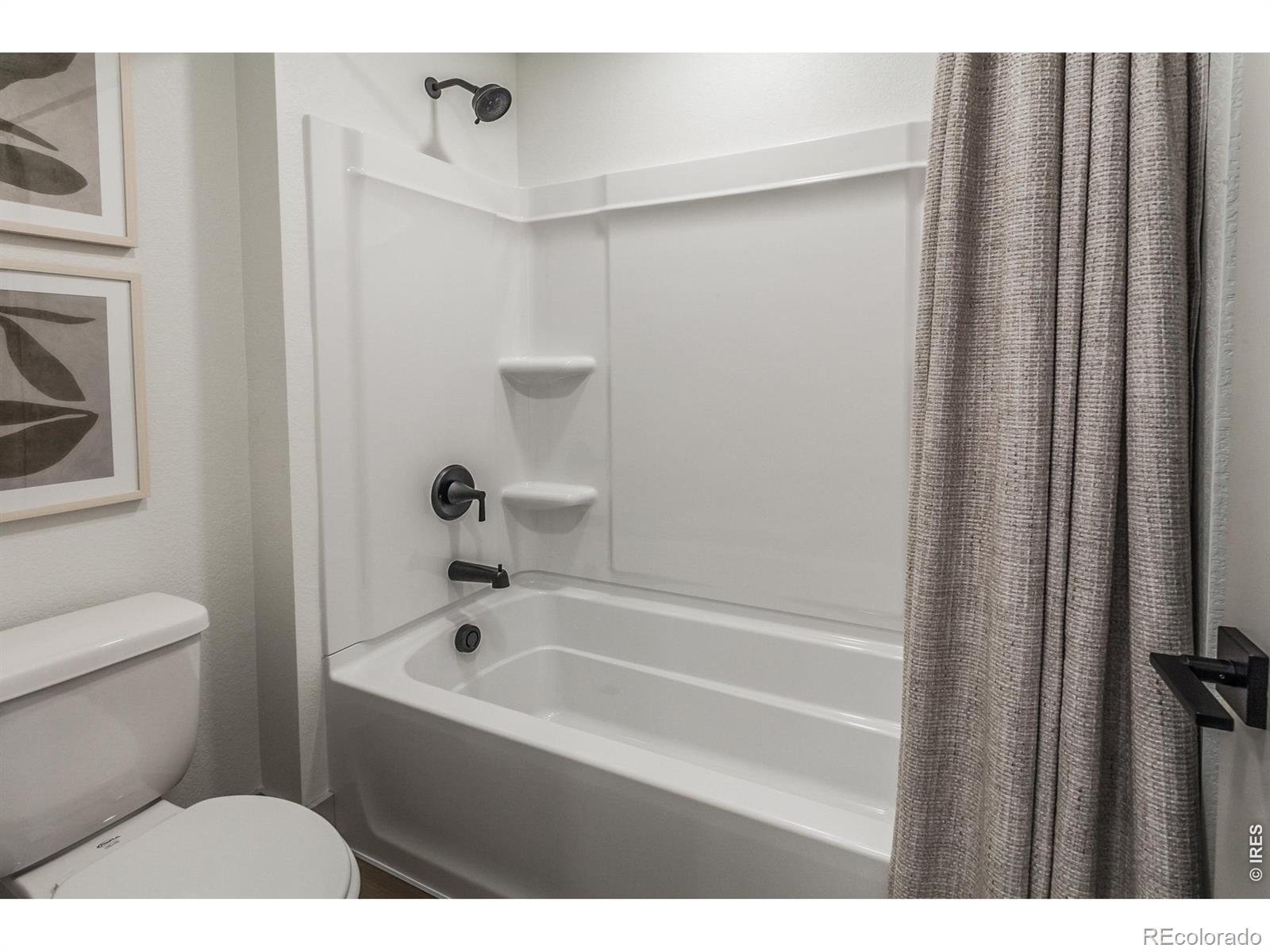 744 Trumpet Court Windsor CO 80550