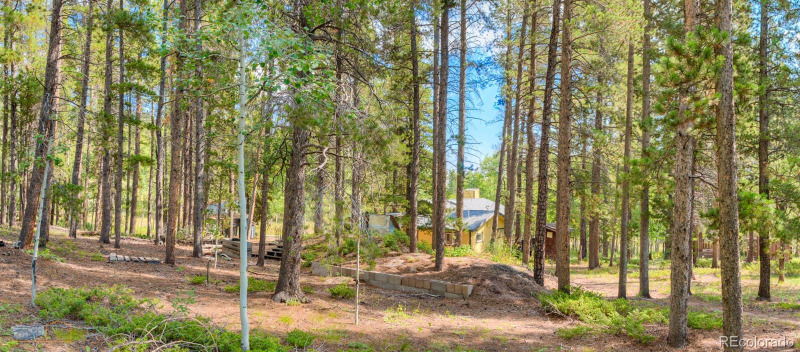 423 Mountain Meadows Drive Black Hawk CO 80422