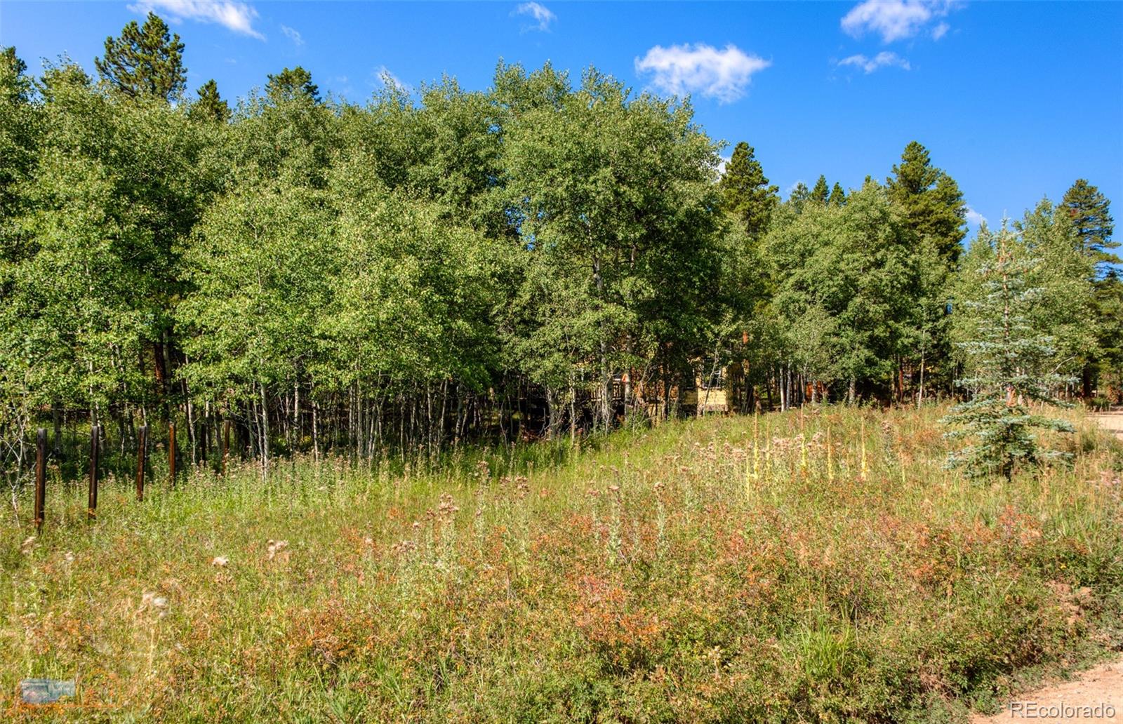 423 Mountain Meadows Drive Black Hawk CO 80422