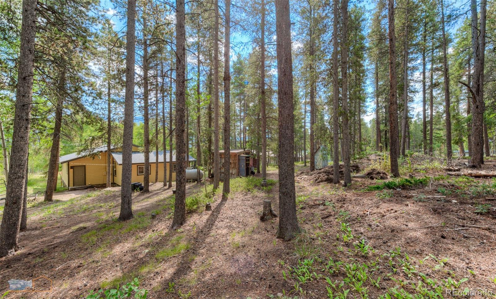 423 Mountain Meadows Drive Black Hawk CO 80422