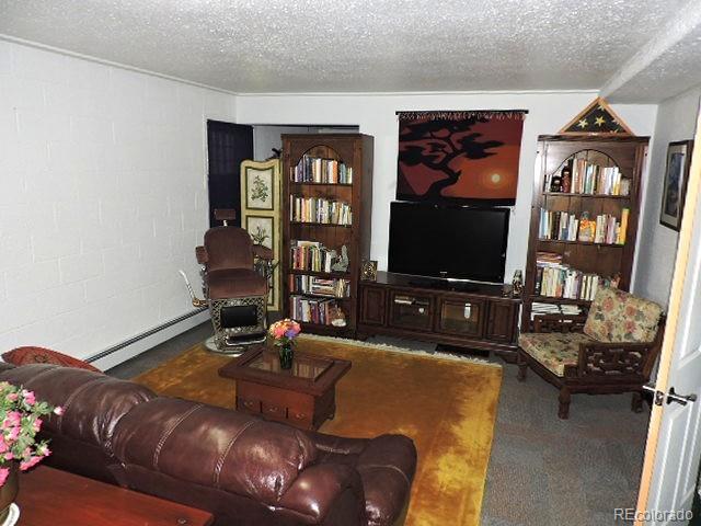 3818 Fontaine Road Fort Garland CO 81133