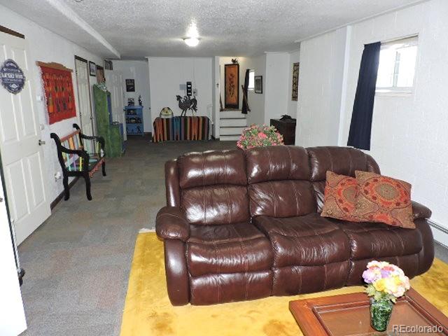 3818 Fontaine Road Fort Garland CO 81133