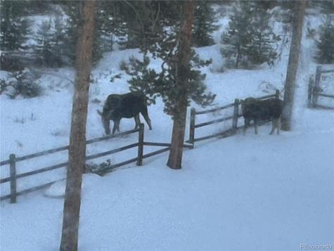 600 Cr-4480 Grand Lake CO 80447