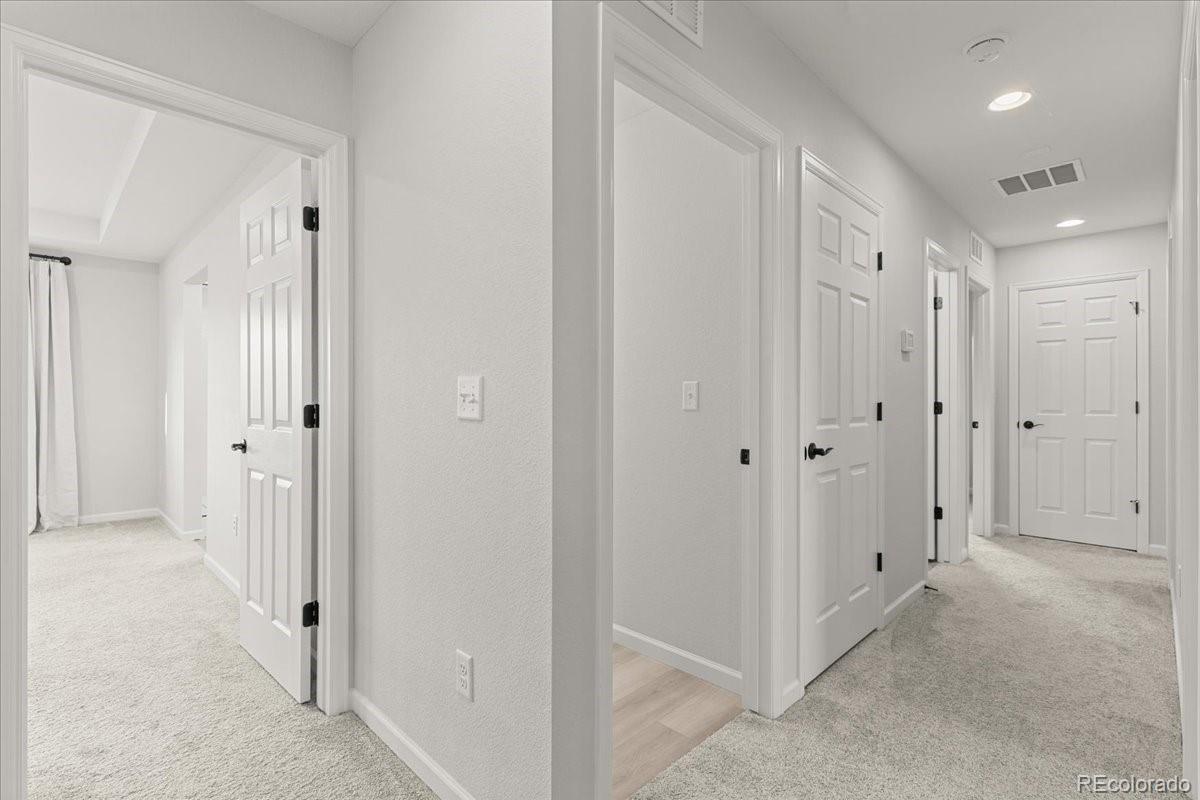 946 Rustling Drive Windsor CO 80550