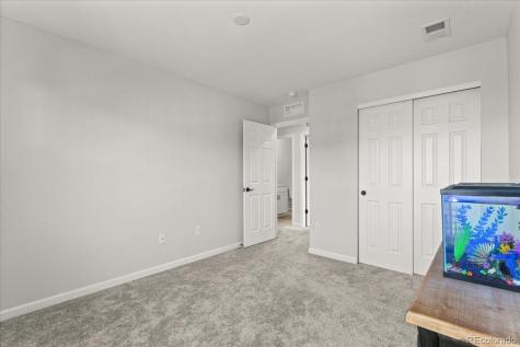 946 Rustling Drive Windsor CO 80550