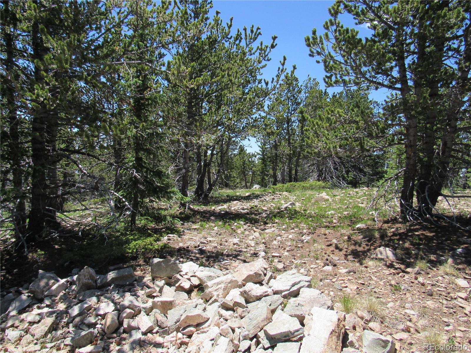6554 Giesse Road San Luis CO 81152