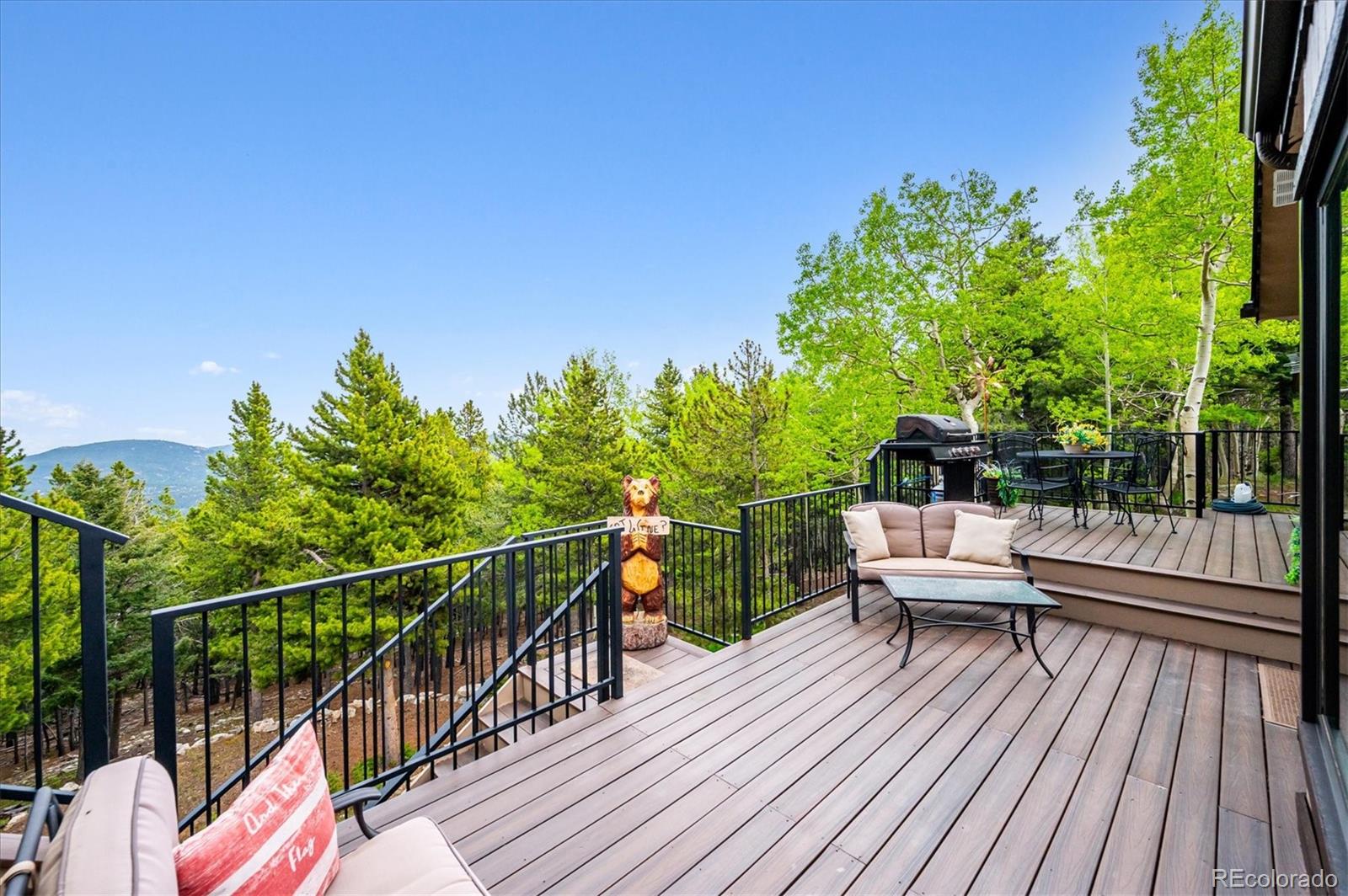 11094 Thomas Drive Conifer CO 80433
