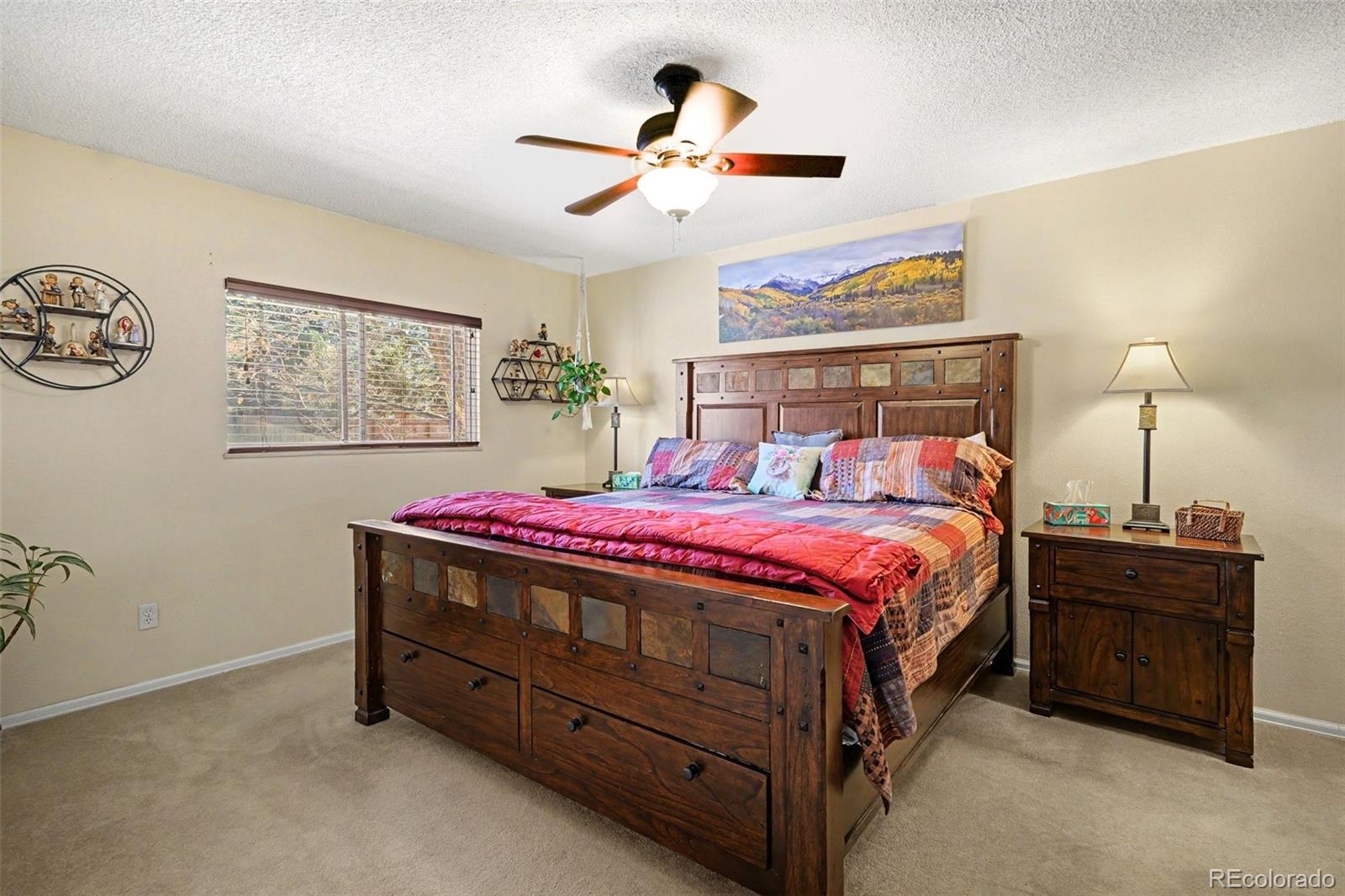 11528 Hot Springs Drive Parker CO 80138
