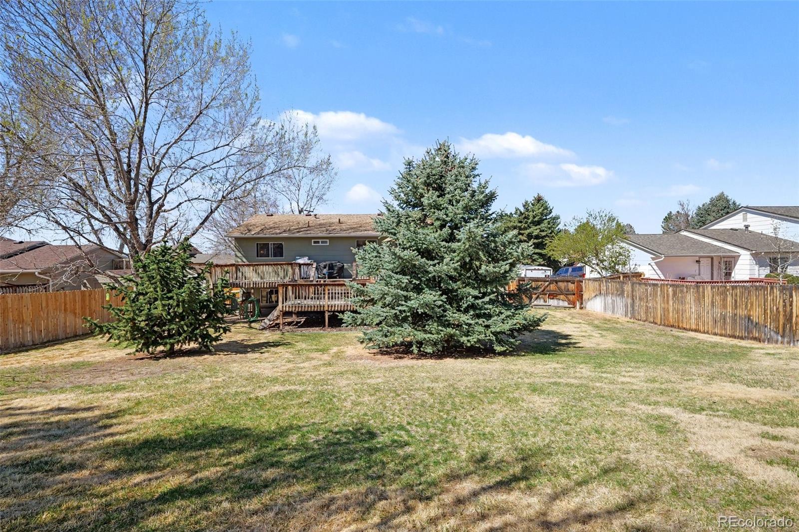 11528 Hot Springs Drive Parker CO 80138