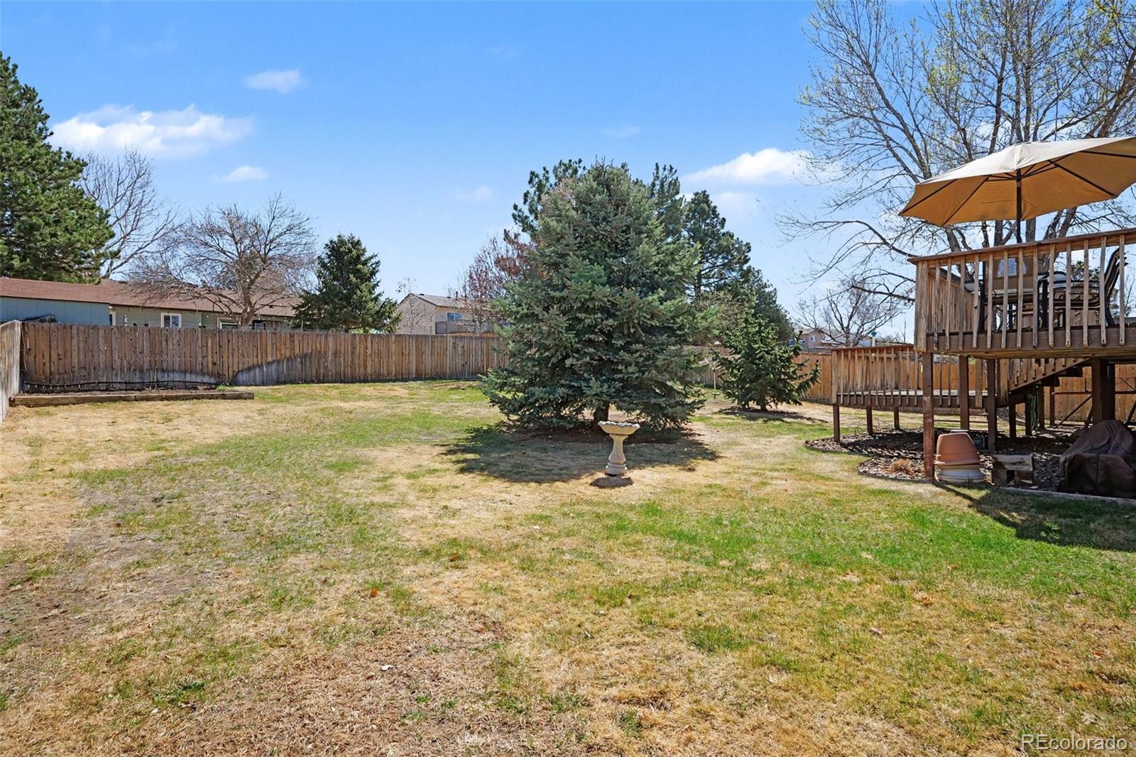 11528 Hot Springs Drive Parker CO 80138