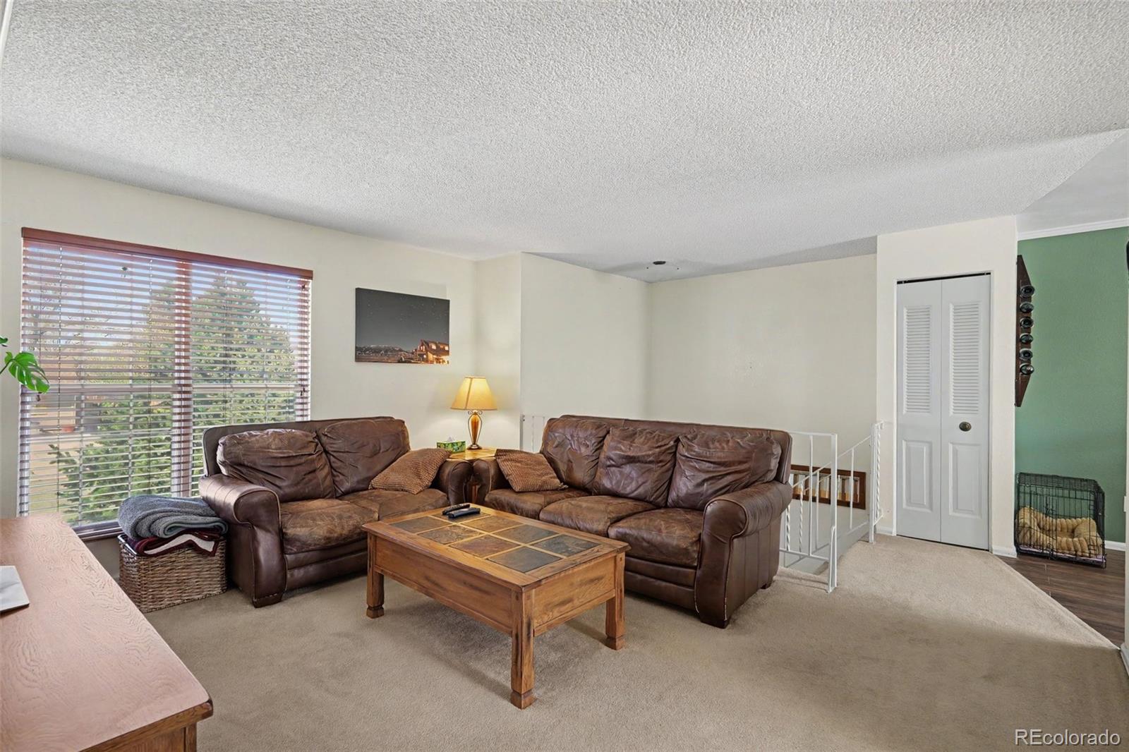 11528 Hot Springs Drive Parker CO 80138