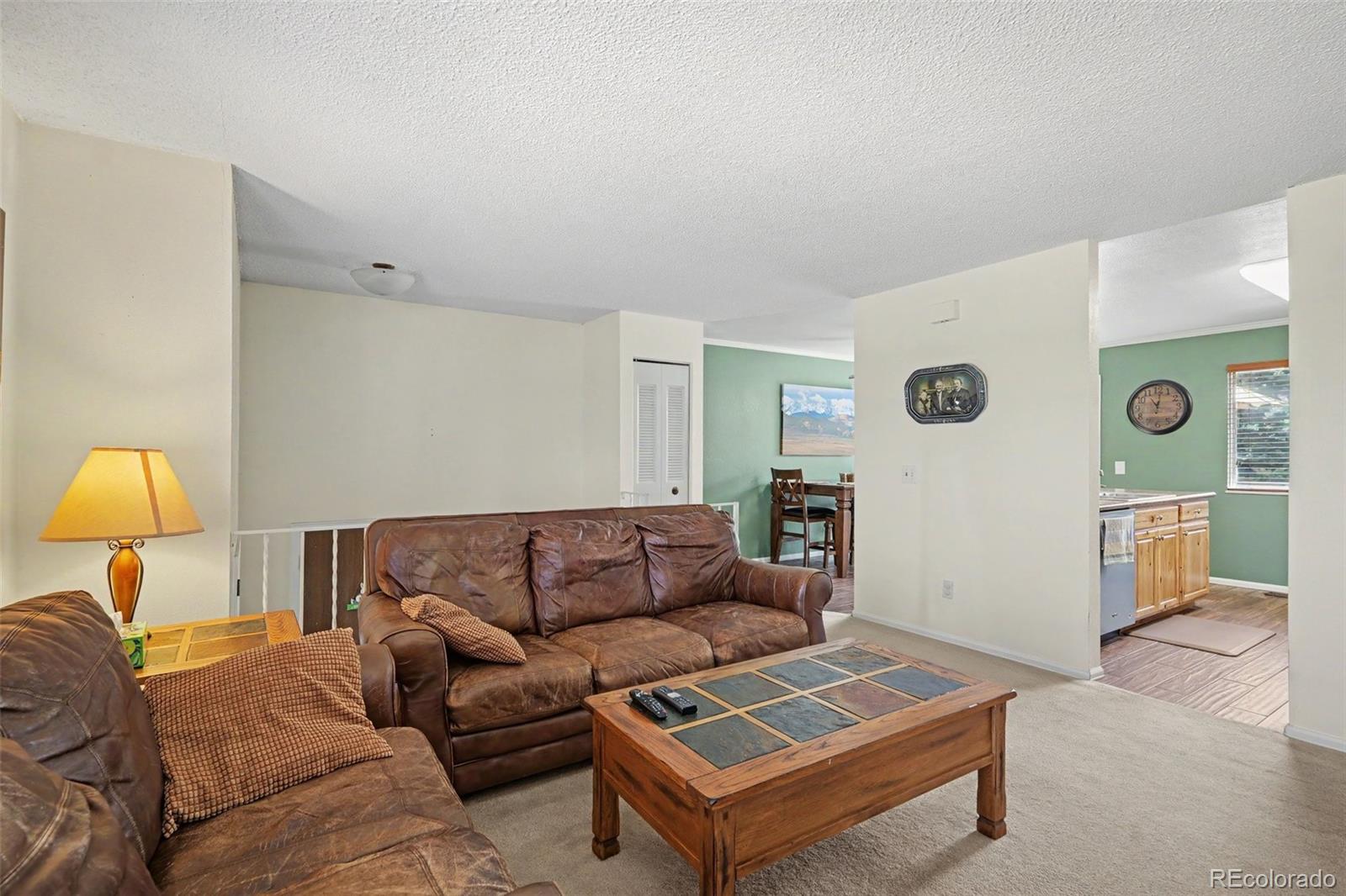 11528 Hot Springs Drive Parker CO 80138