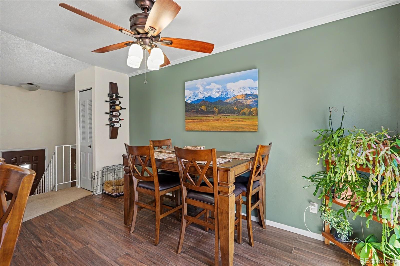 11528 Hot Springs Drive Parker CO 80138