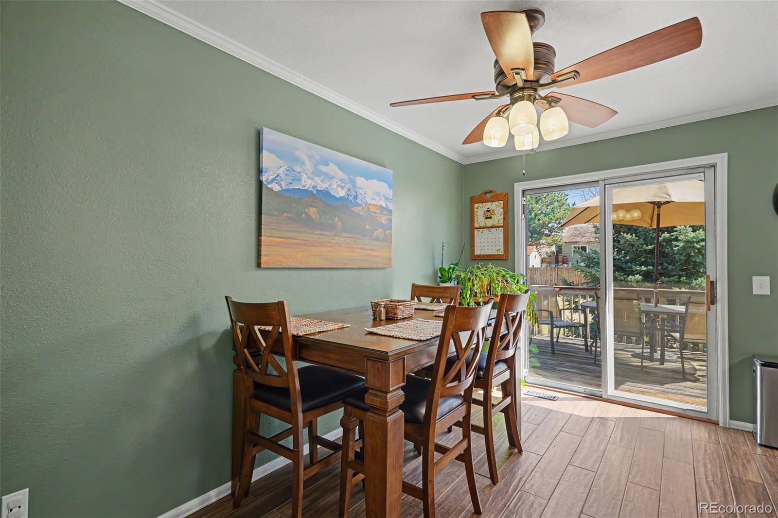 11528 Hot Springs Drive Parker CO 80138