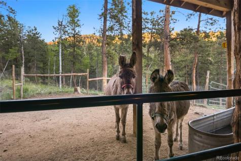 13434 S Baird Road Conifer CO 80433
