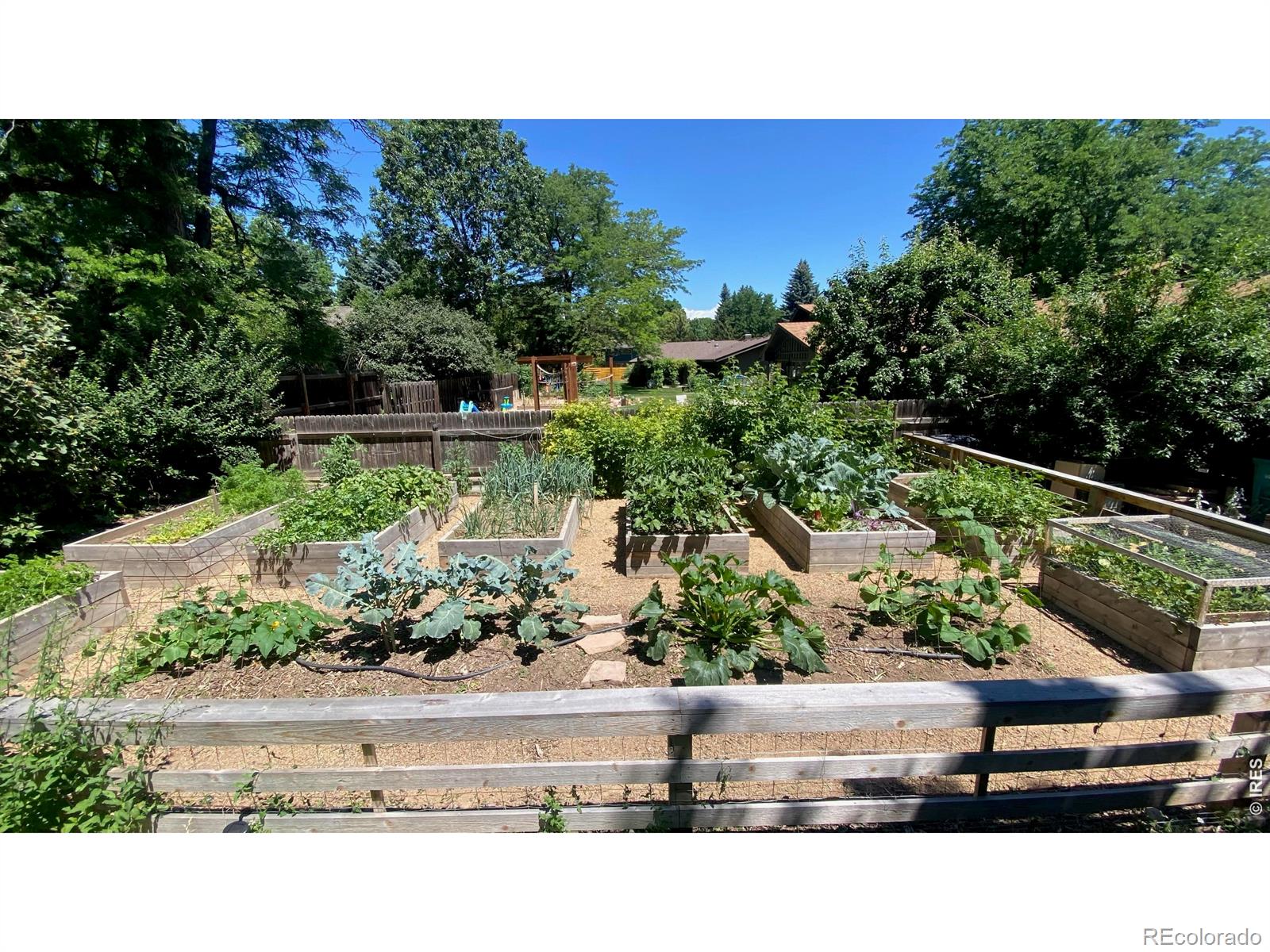 1913 Seminole Drive Fort Collins CO 80525