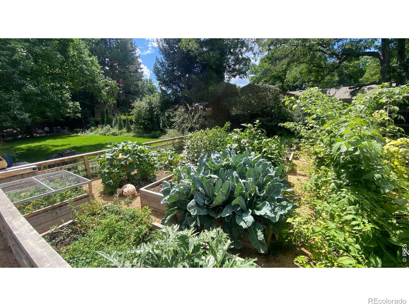 1913 Seminole Drive Fort Collins CO 80525