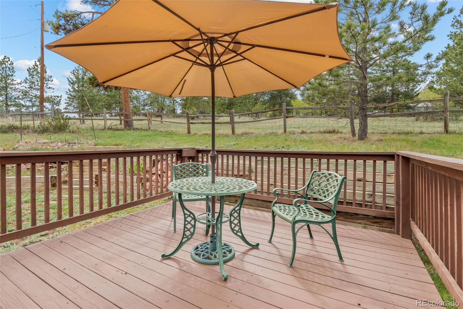 957 Yellow Pine Drive Bailey CO 80421