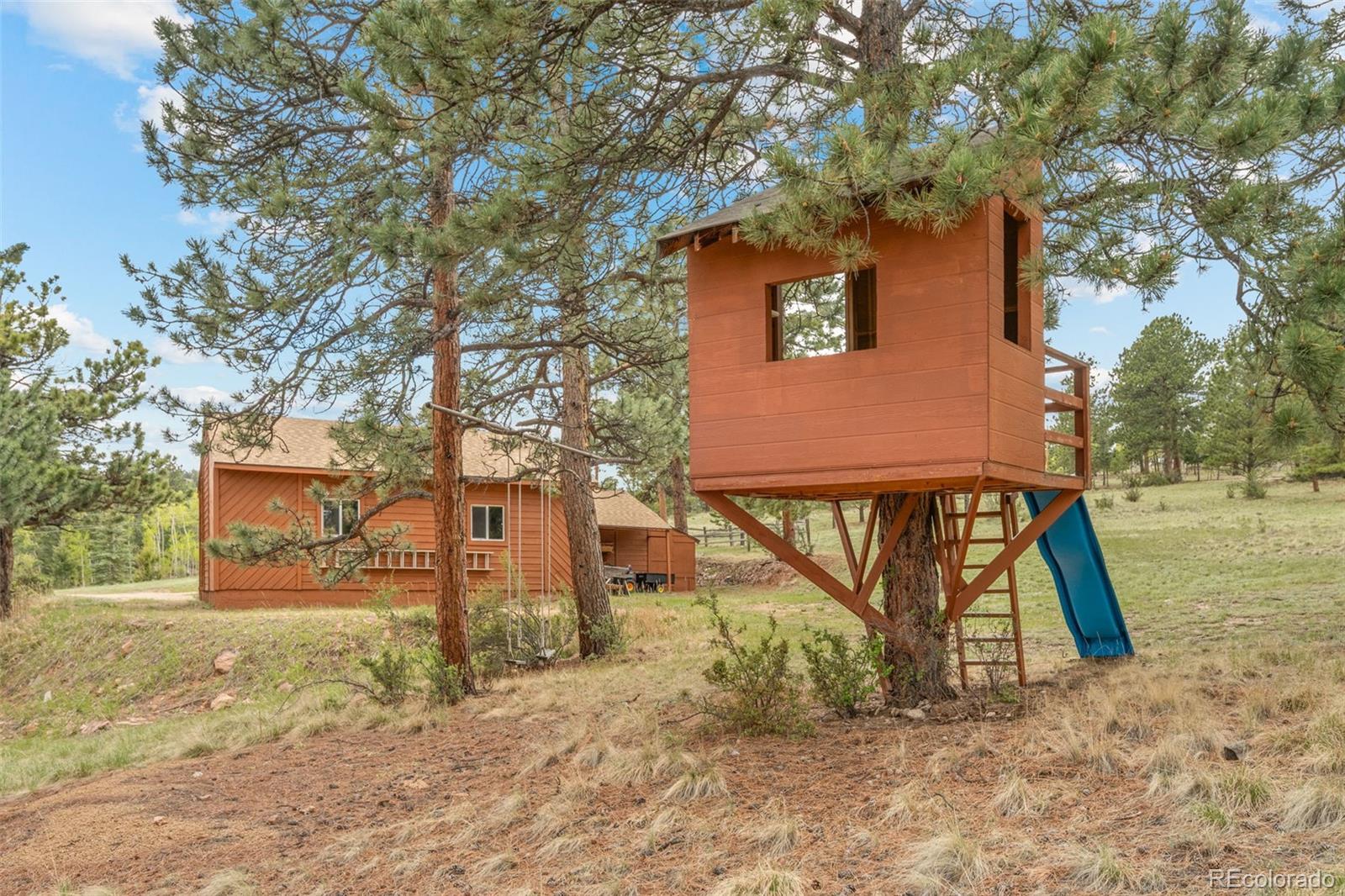 957 Yellow Pine Drive Bailey CO 80421