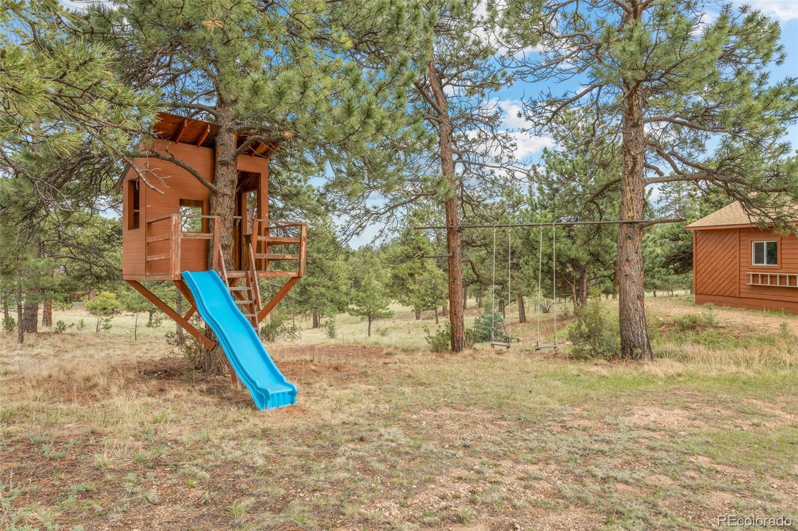 957 Yellow Pine Drive Bailey CO 80421