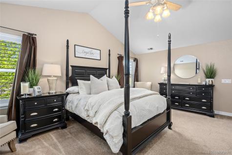 3718 Elk Run Drive Castle Rock CO 80109