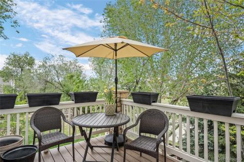 3718 Elk Run Drive Castle Rock CO 80109