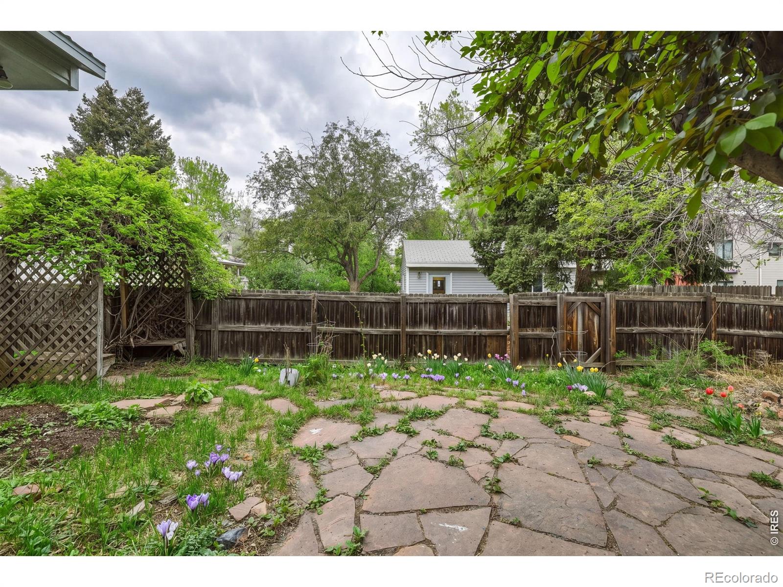 556 Grant Avenue Louisville CO 80027