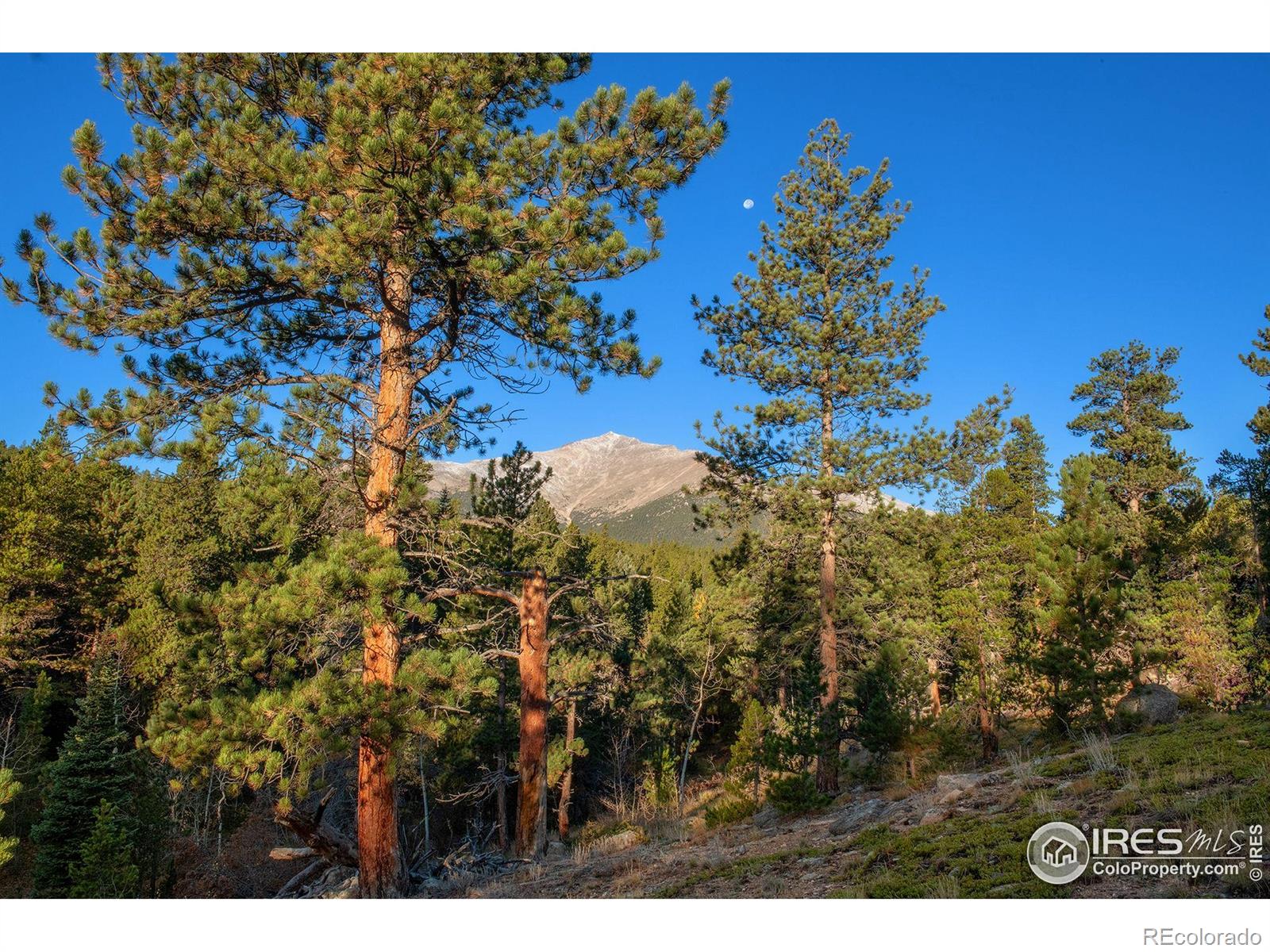 1997 Big Owl Road Allenspark CO 80510