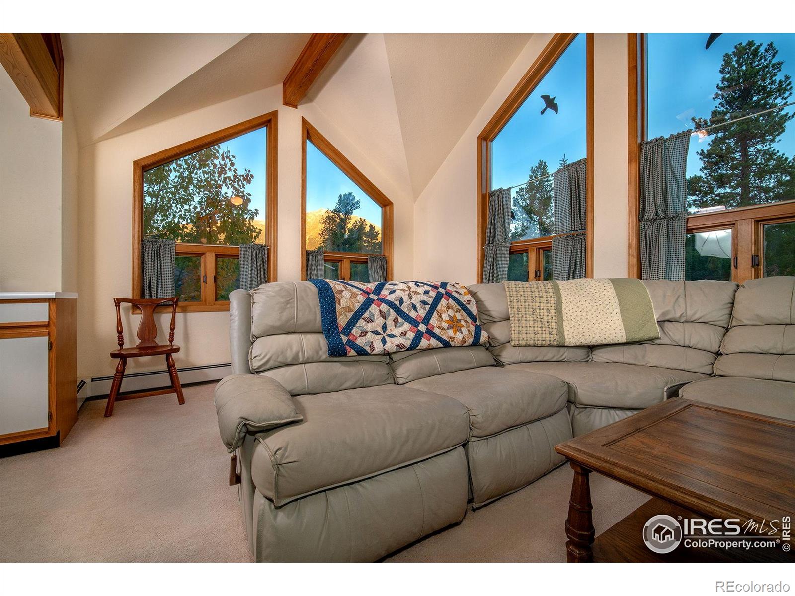 1997 Big Owl Road Allenspark CO 80510