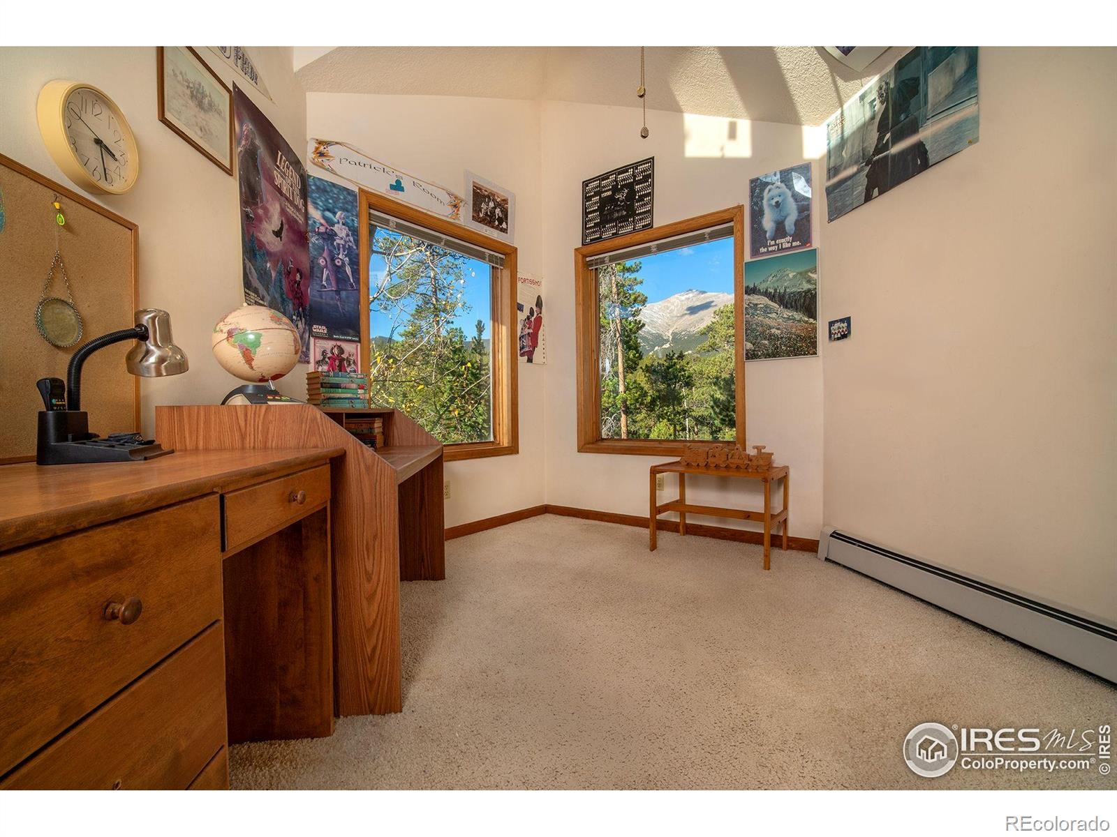 1997 Big Owl Road Allenspark CO 80510