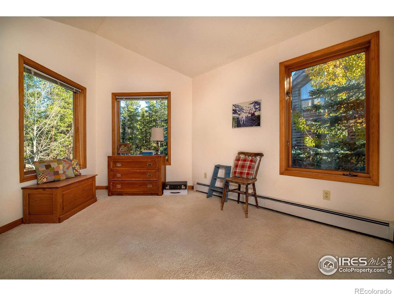 1997 Big Owl Road Allenspark CO 80510