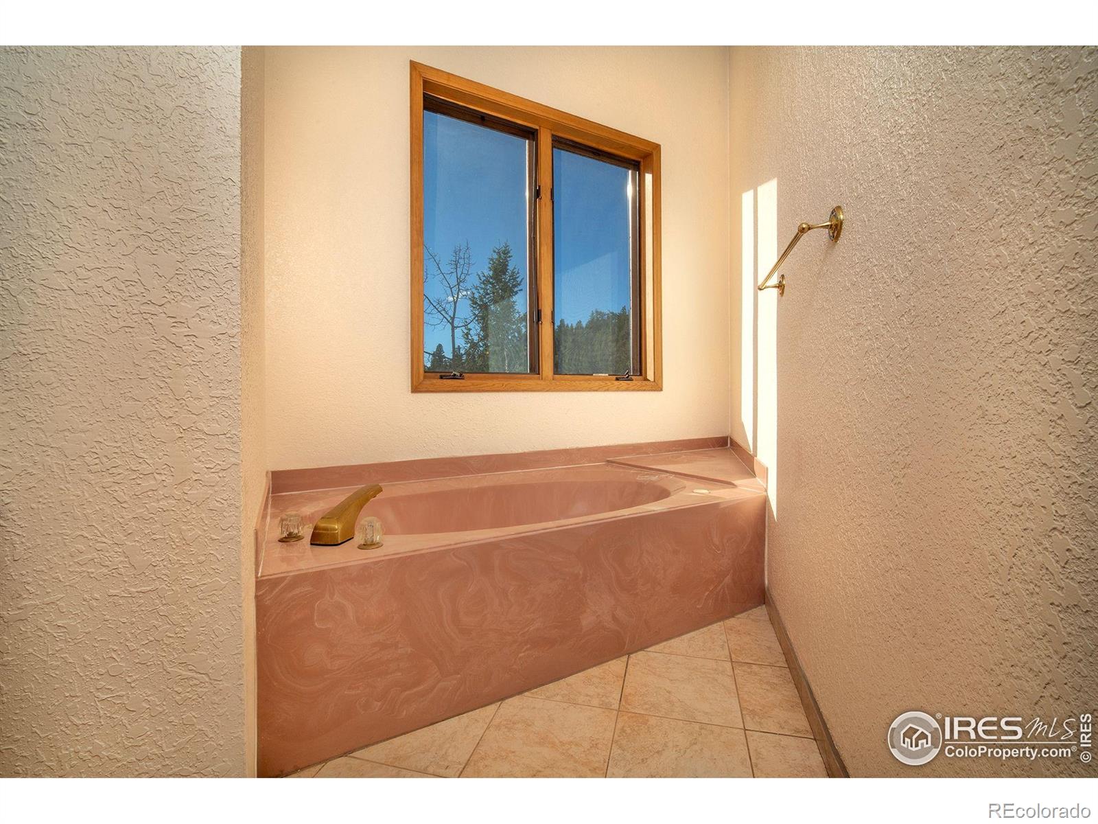 1997 Big Owl Road Allenspark CO 80510