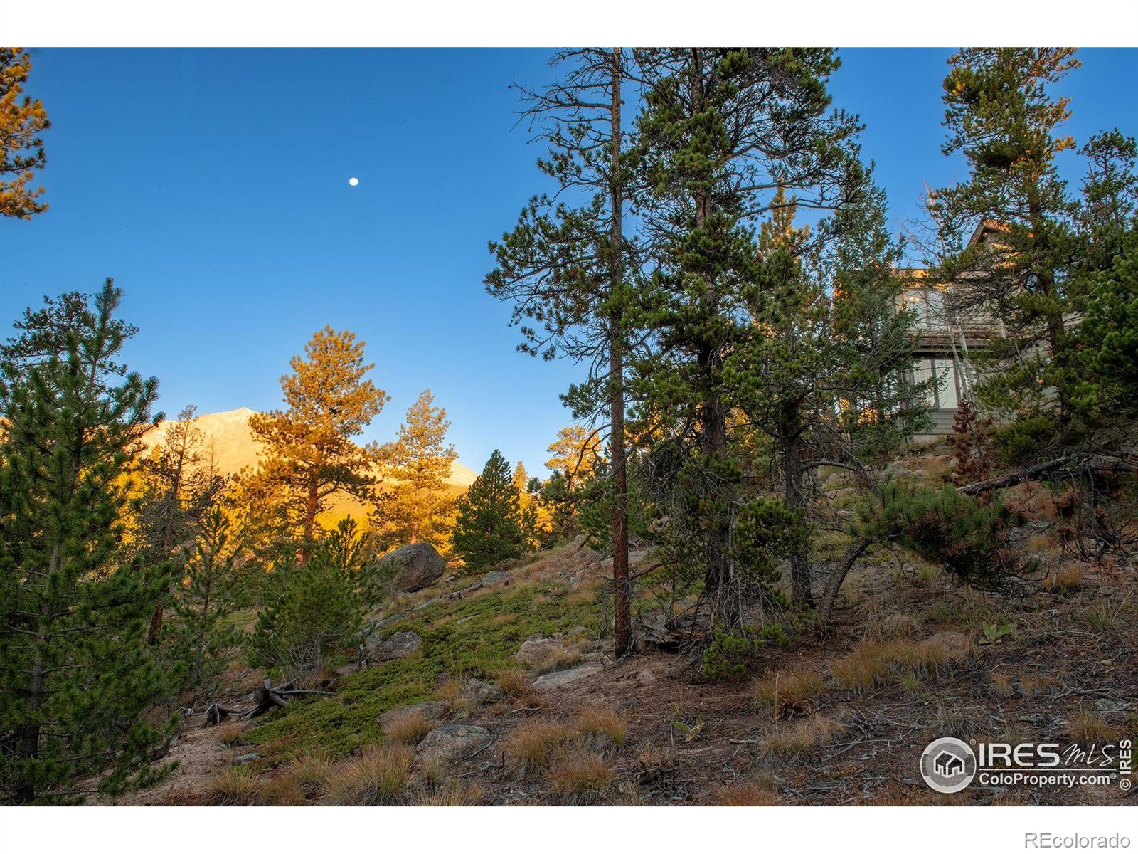 1997 Big Owl Road Allenspark CO 80510