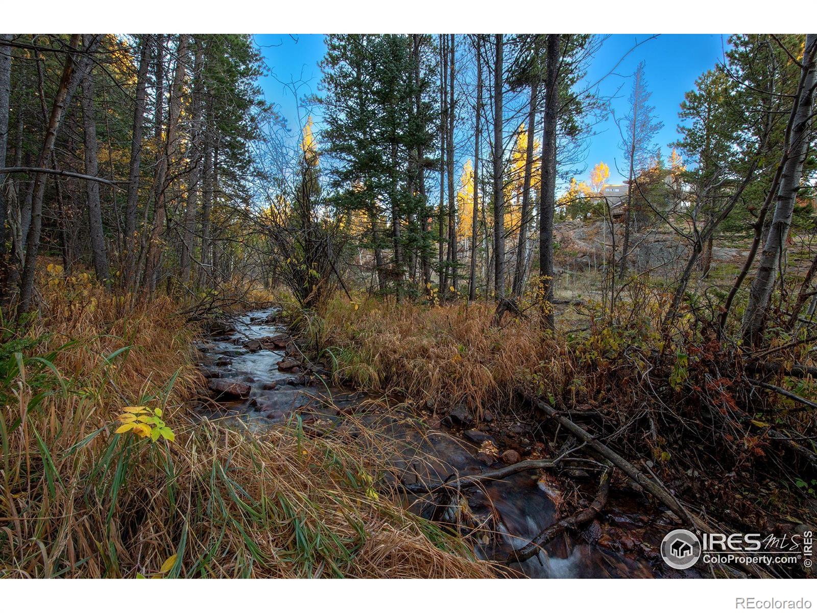 1997 Big Owl Road Allenspark CO 80510