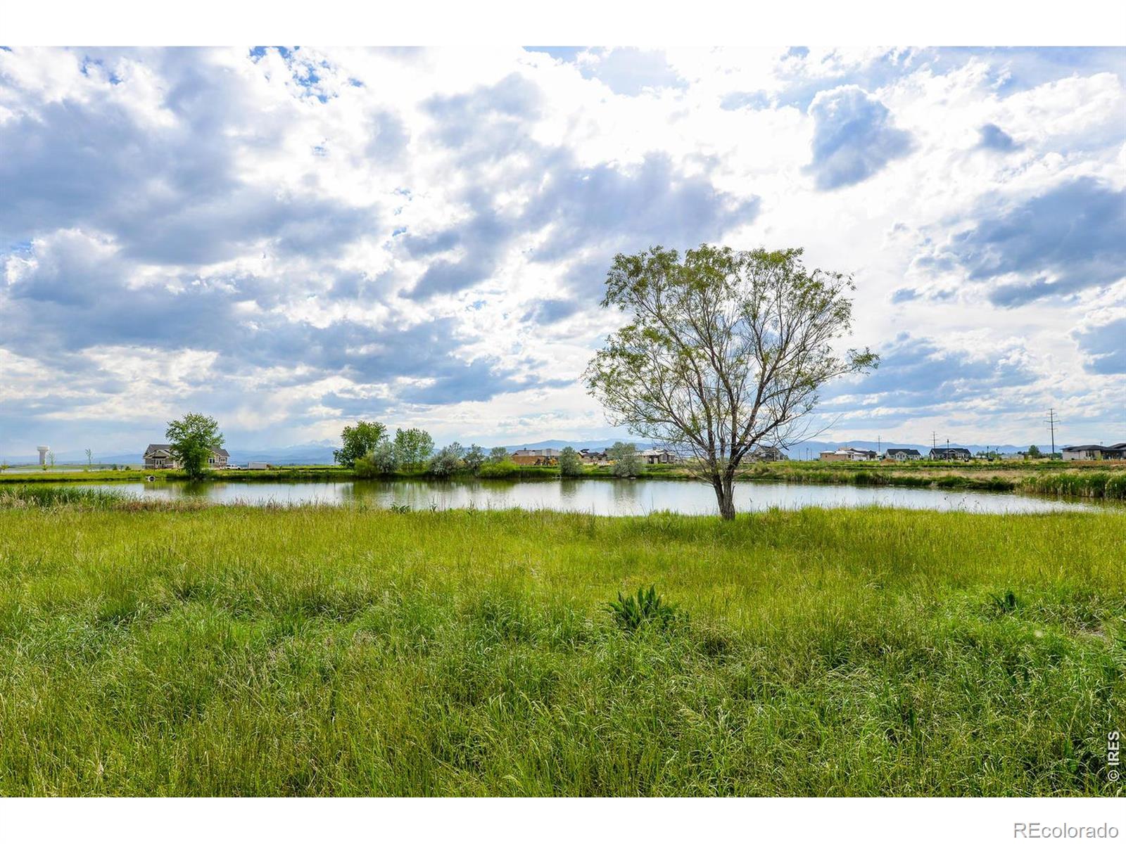 6901 Water View Court Timnath CO 80547
