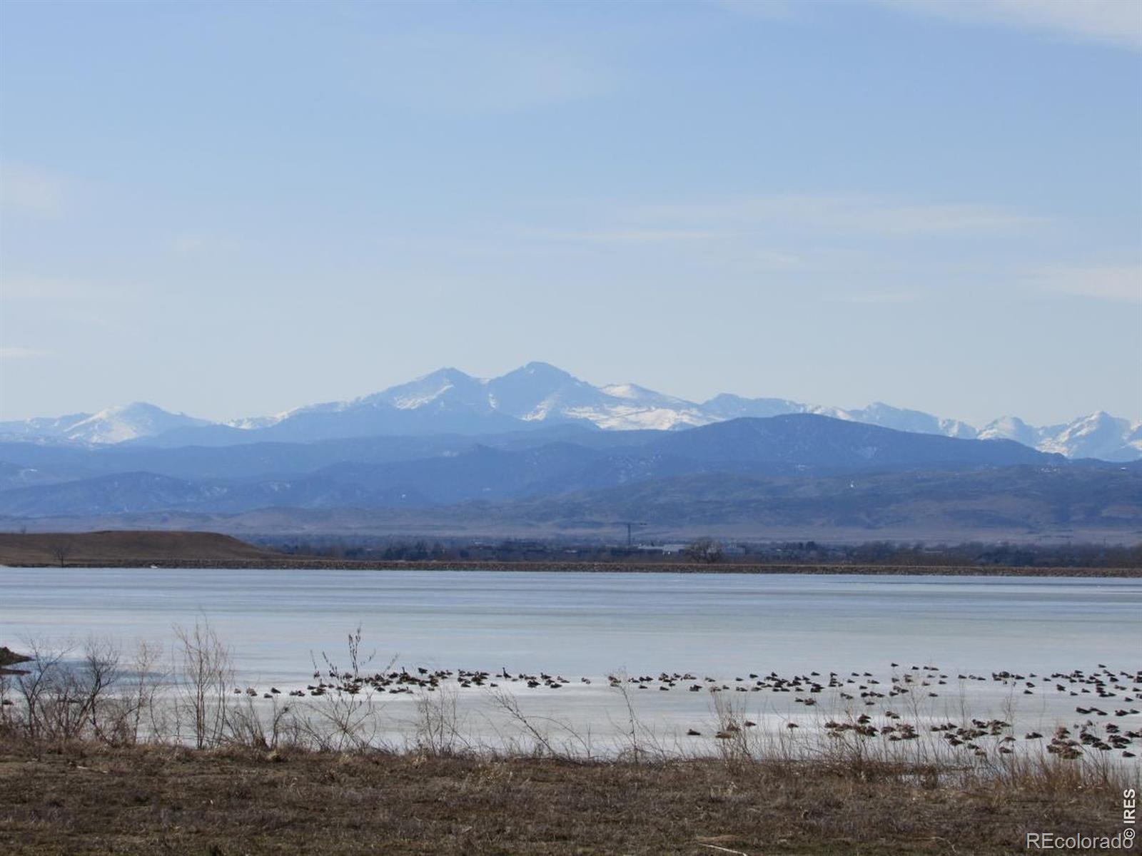 6901 Water View Court Timnath CO 80547